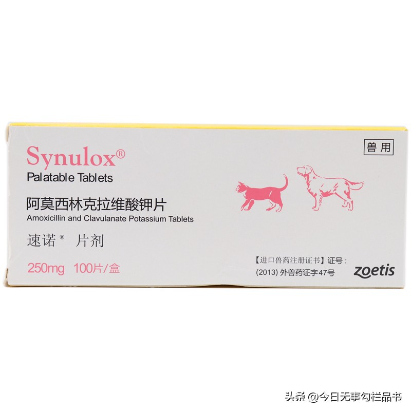 猫疱疹三天自愈的最佳方法,猫咪疱疹怎么治疗最有效