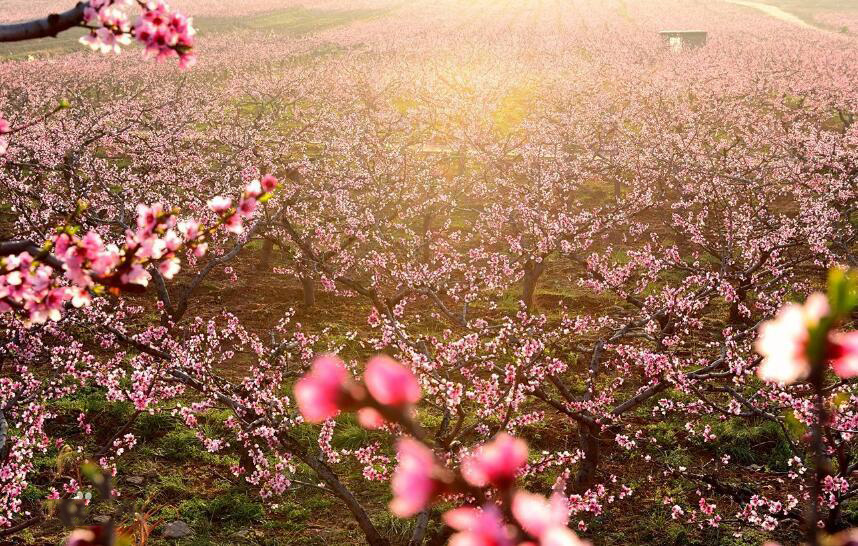 郑州周边打卡地点推荐,郑州附近免费打卡景点