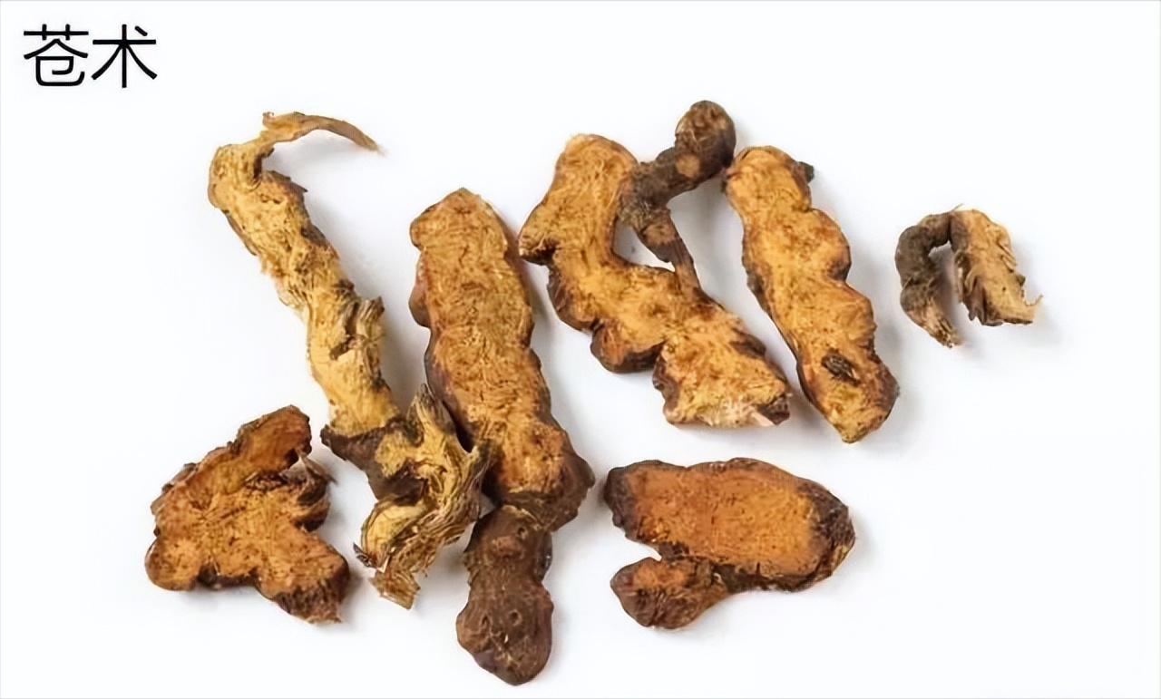 小腿静脉曲张已经肿胀怎么治,金匮要略下肢静脉曲张