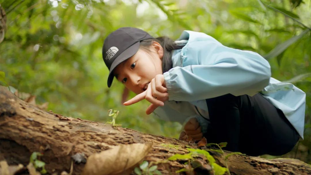 广州northface童装,thenorthface属于什么档次