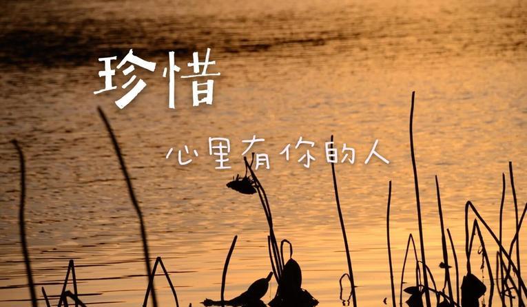 妻子出轨,丈夫在润滑剂里加胶水，网友这下真是难舍难分了