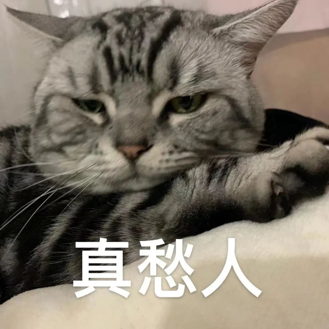 深圳缴费15年退休能拿多少退休金,在深圳交社保15年退休了在哪里领