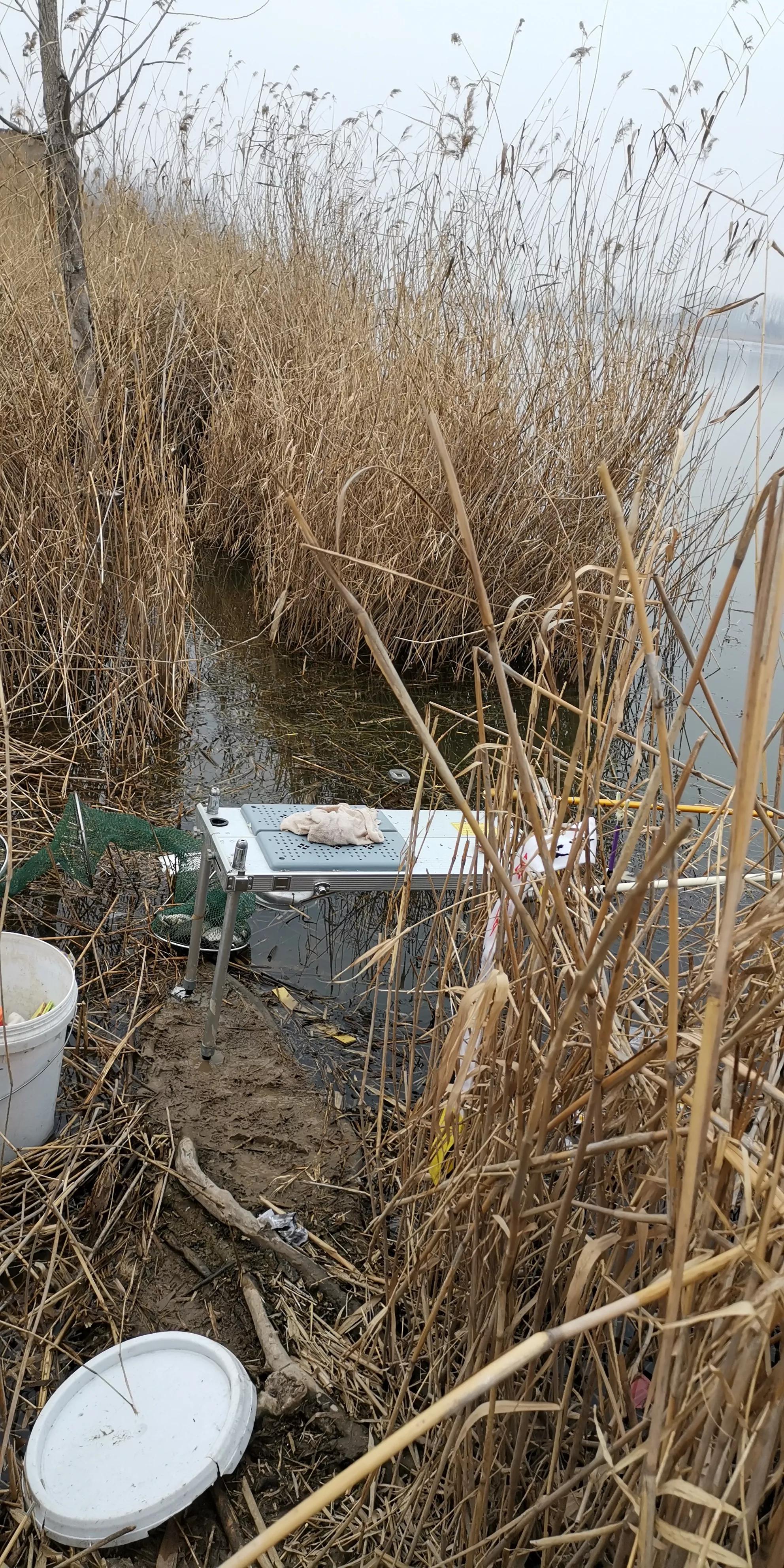 野钓怎么抛竿调漂比较准,钓鱼选钓位天气