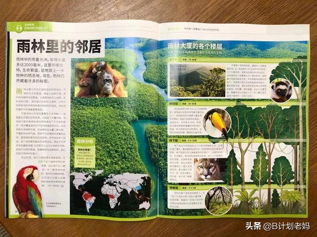 科普杂志万物怎么样,小学必读科普书籍万物的由来