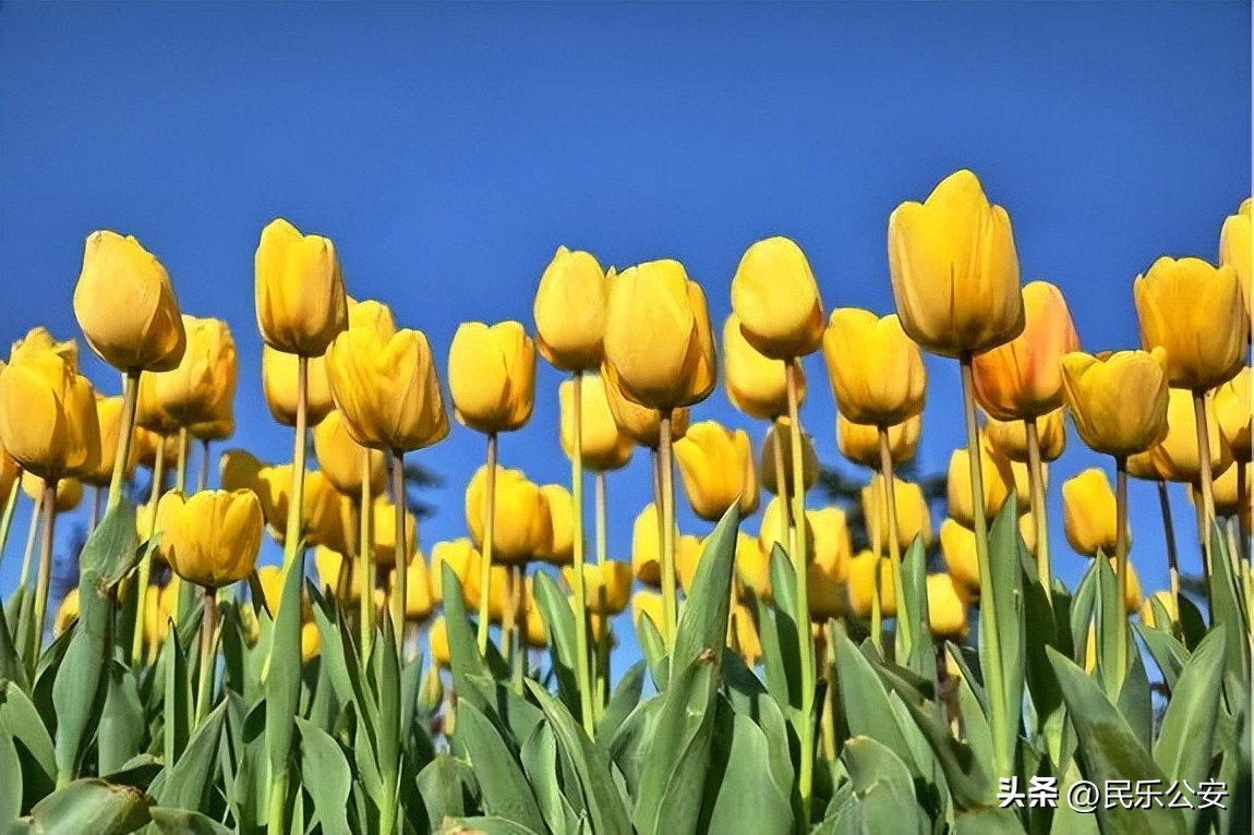 国家对心理健康的最新政策,国家心理治疗标准