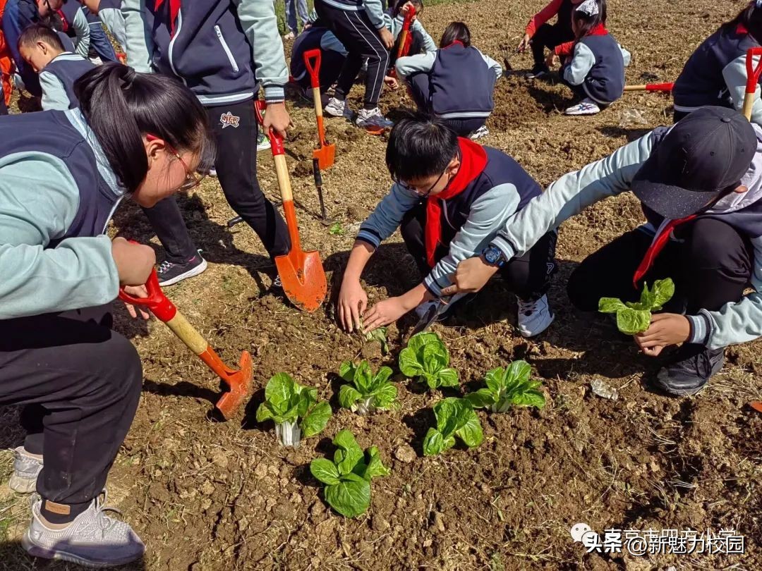 青岛小学开展心理健康宣传月活动,小学多形式开展心理健康月活动