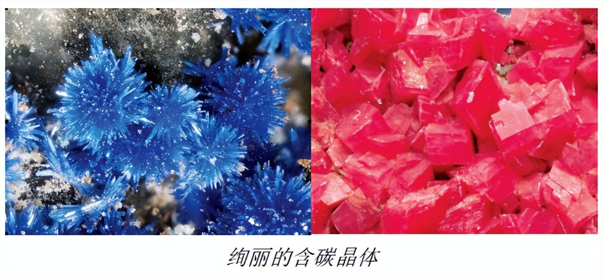 碳基生命必读！跟随碳原子脚步，重新游历138亿年的万物演化之旅