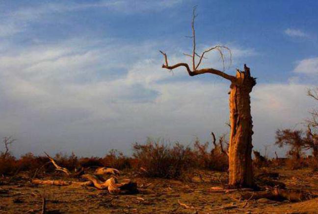 一个被“不伦之恋”诅咒的家族，《百年孤独》道尽人类荒诞的欲望