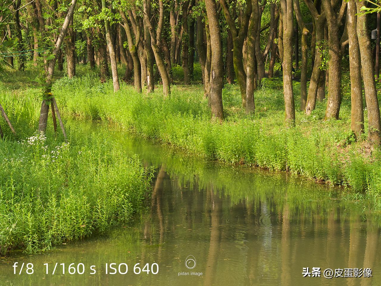 教女朋友摄影第一天,摄影初学者虚化照片