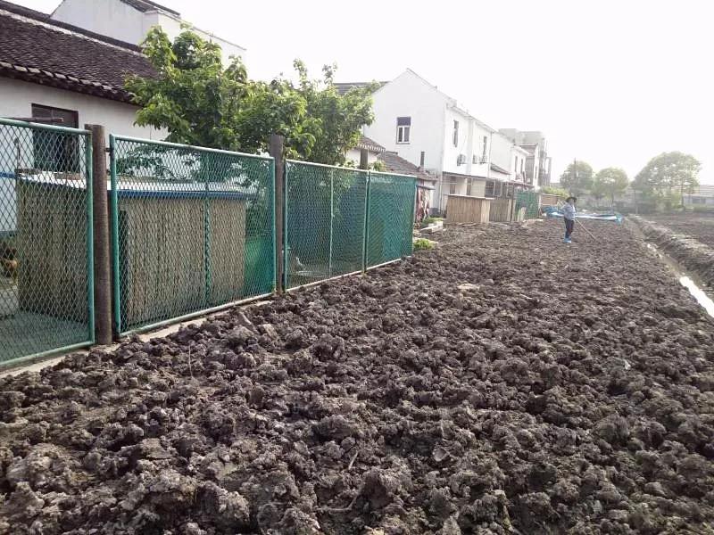 土地确权有部分没确权上怎么办,土地确权没有确权的地怎么办