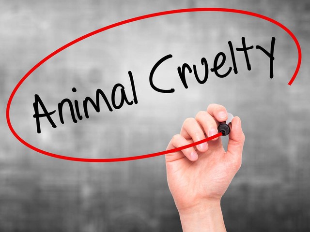 拒绝虚假宣传和套路销售,拒绝无良商家