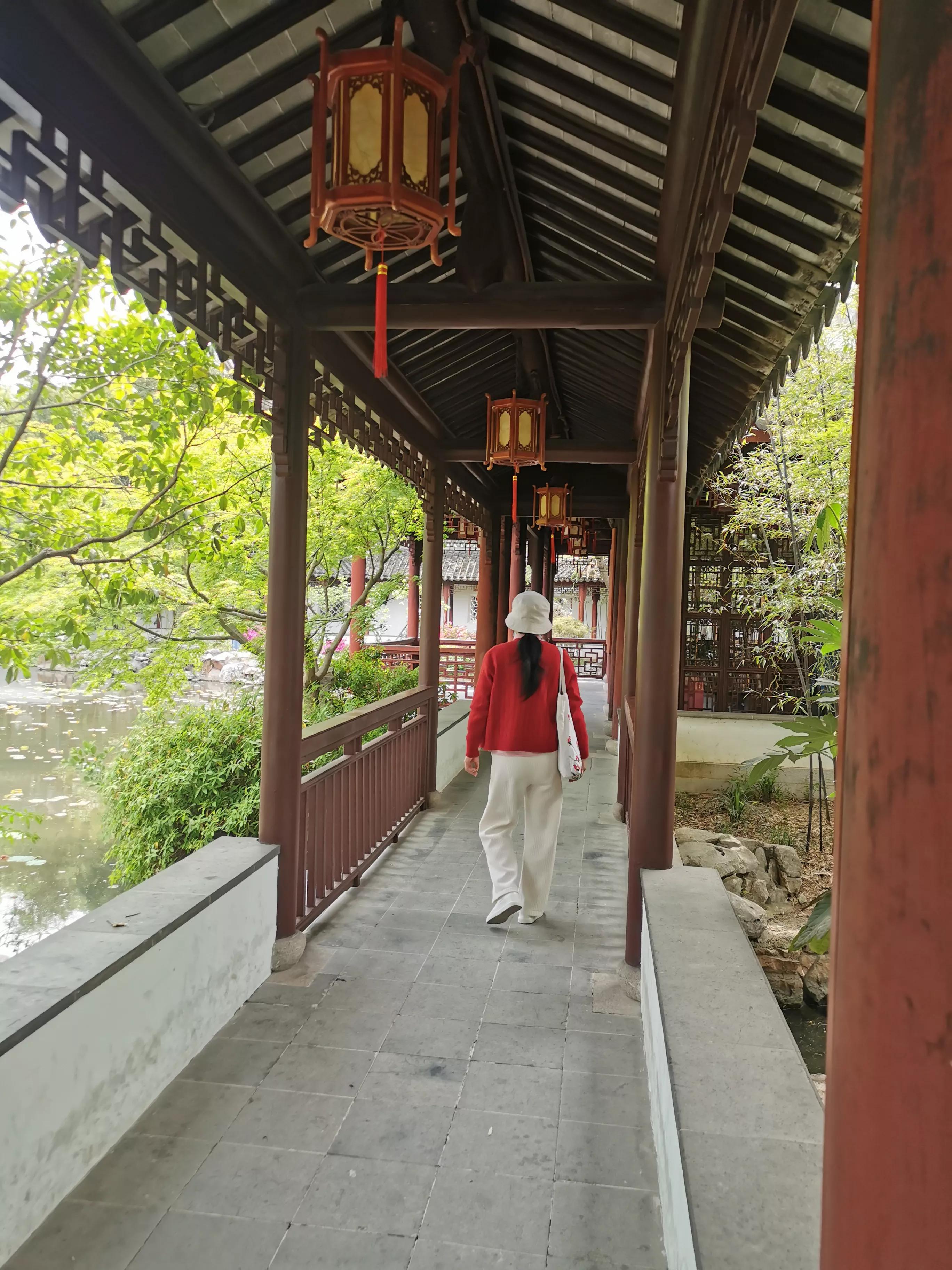 上海园林古猗园,上海古猗园留下美丽景色