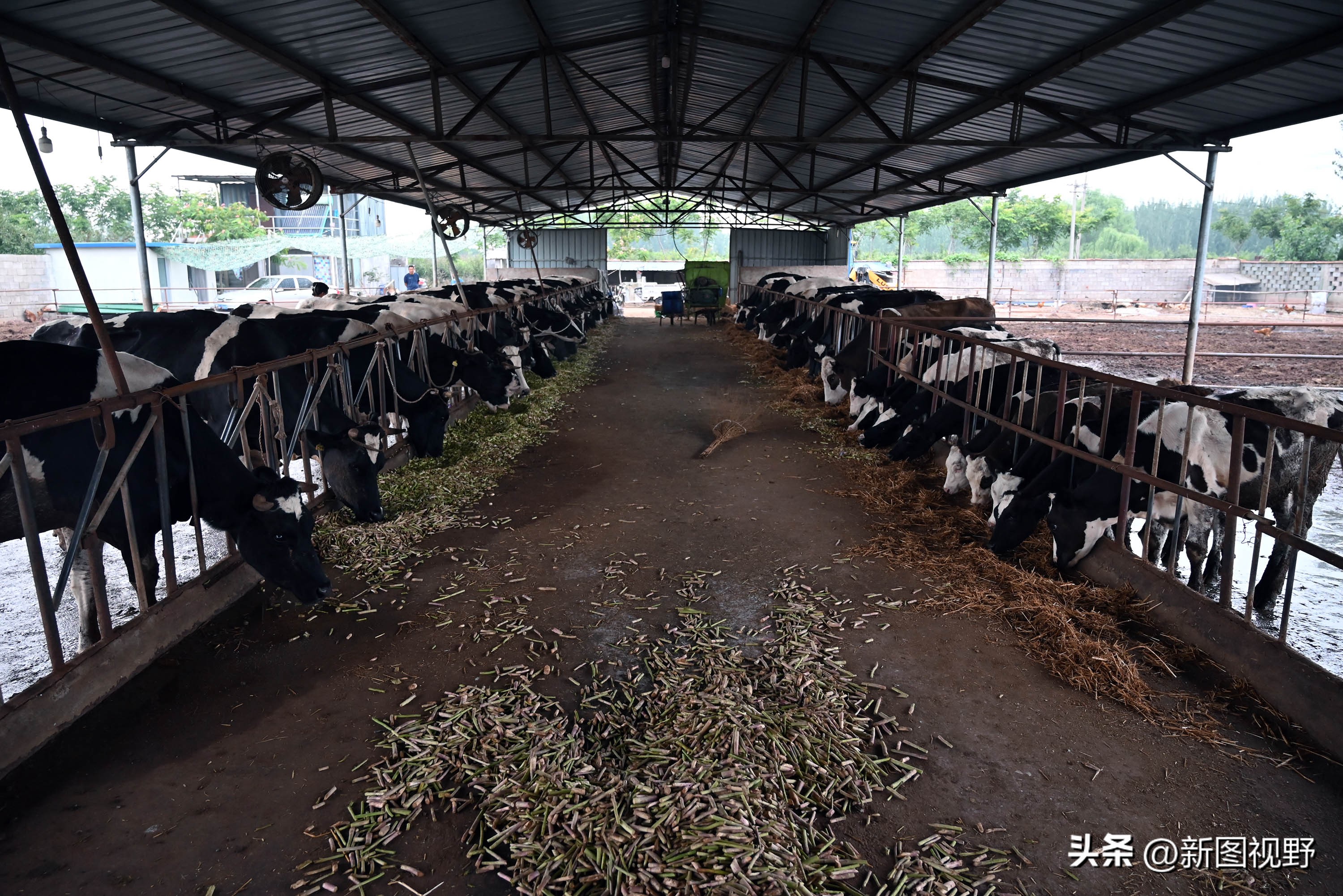 夫妻做的暴利生意,夫妻俩做生意赚3亿