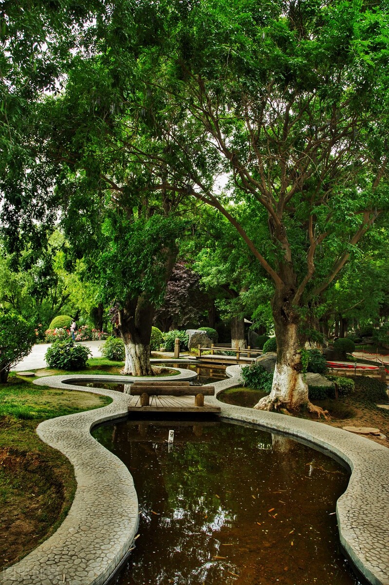 那树洞，一如中年人生，虽被掏空，但也必须挺住