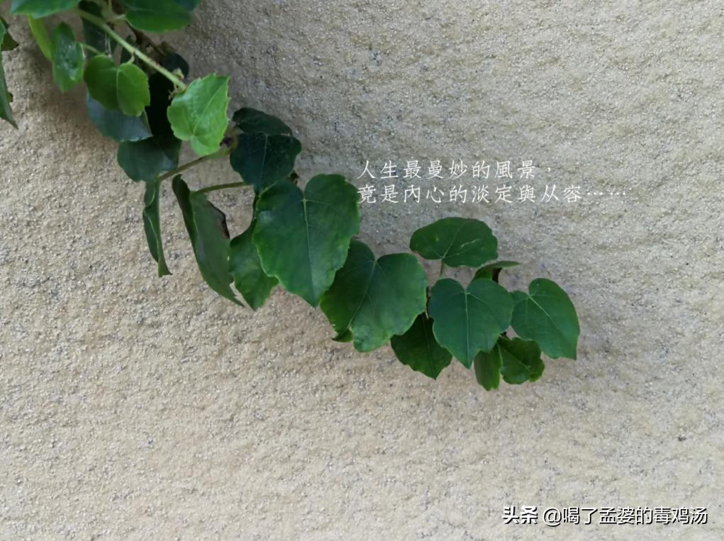 如何才能提高自己的运气,如何才能使自己的运气更好