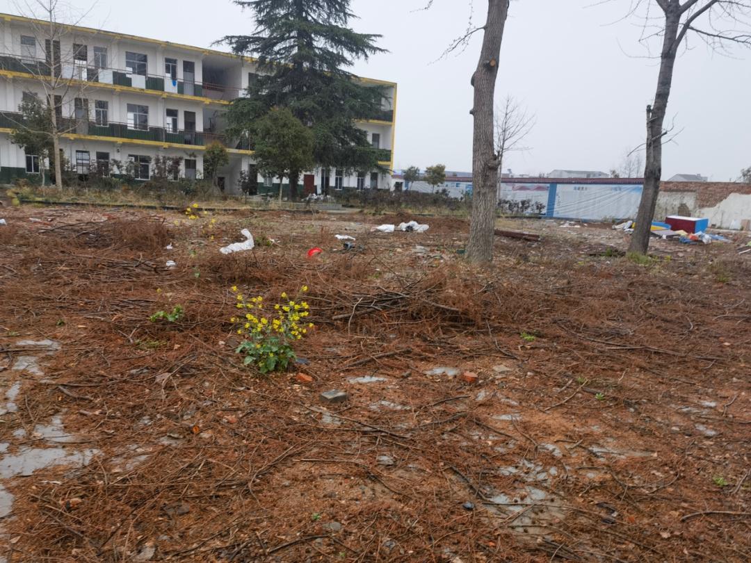 湖北随县博爱特校性侵案案例分析,湖北博爱特校性侵案调查