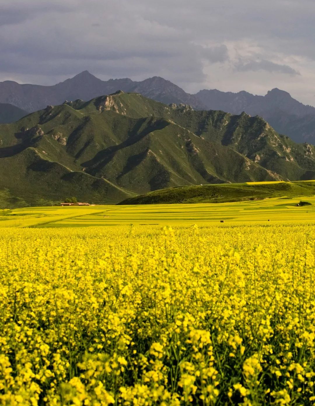 甘肃张掖有多少极致风光,甘肃张掖城市风光