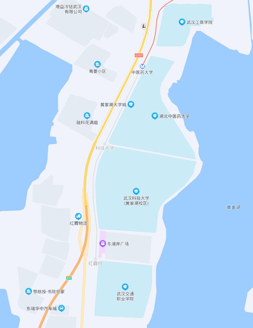 武汉传来好消息,武汉有几条轨道