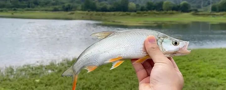武汉武汉市妮8家的民宿,武汉附近吃住玩一条龙服务的民宿