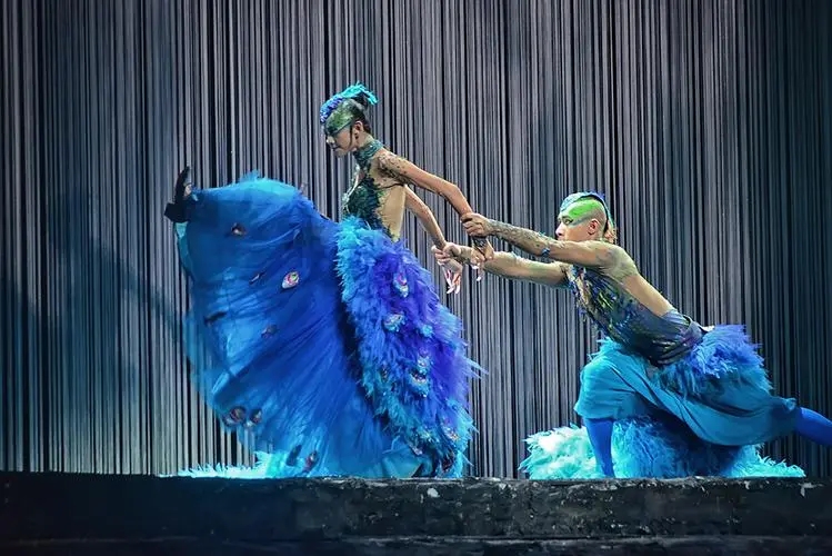 金星最近的舞蹈表演,被金星高度评价的舞蹈