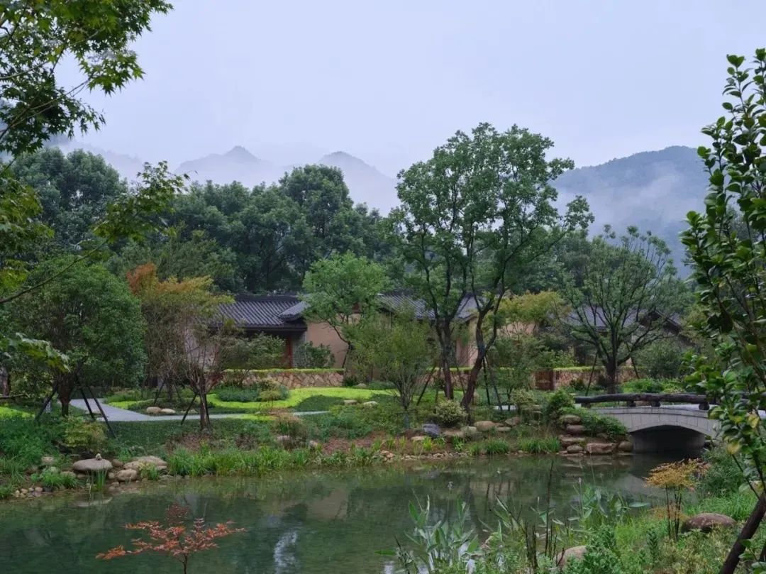 石台聚龙牯牛降酒店品牌定位,牯牛降聚龙大酒店野奢大床房