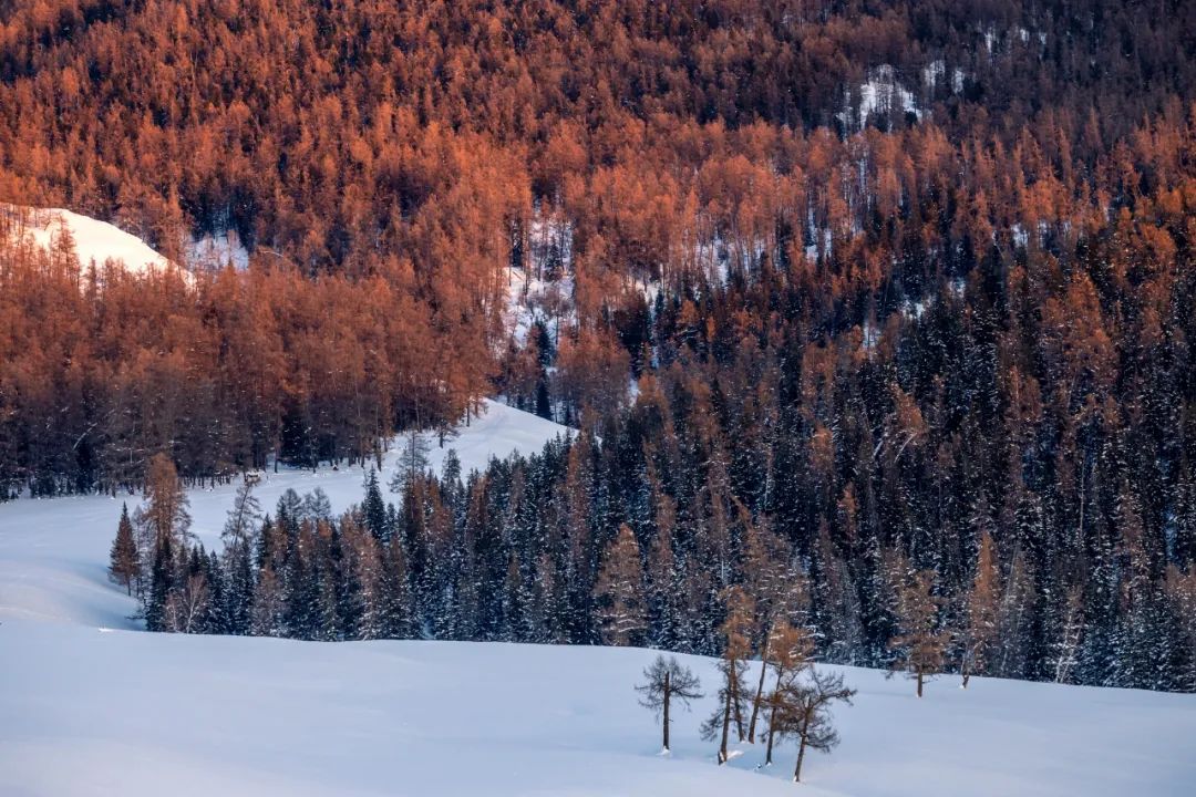 佳能r6mark2摄影三要素教程,eosr6markii景深合成