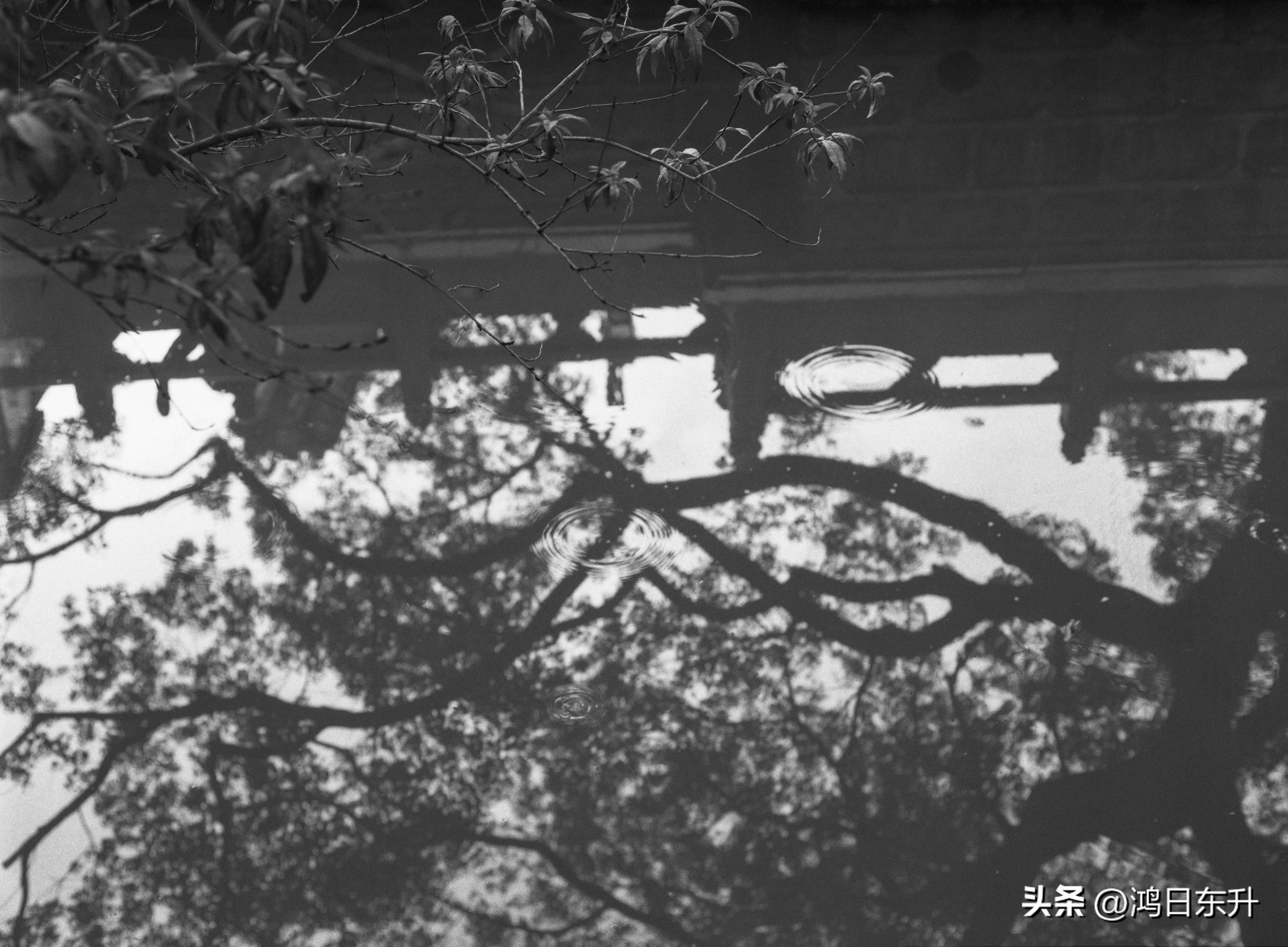 宾得645Nii老胶片相机值得拥有