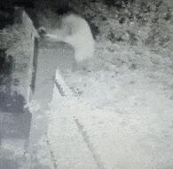 女孩去纹身结果喜欢上了纹身师,陪老婆去纹身