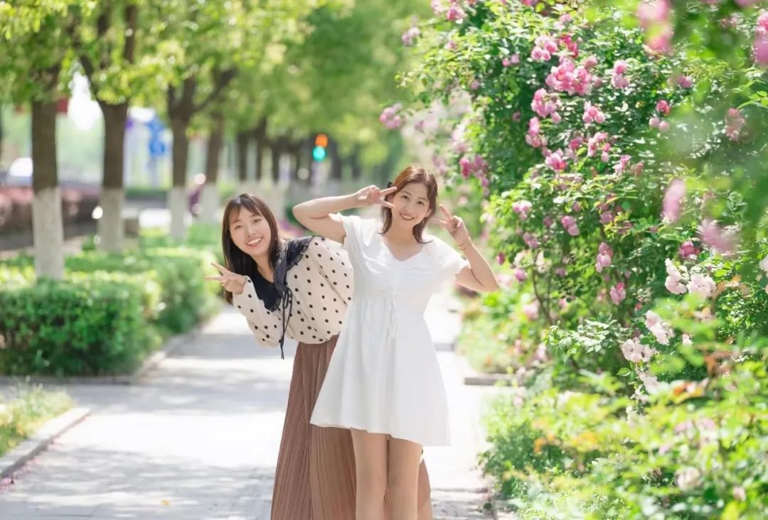 太仓蓝色花海,太仓好看的花海