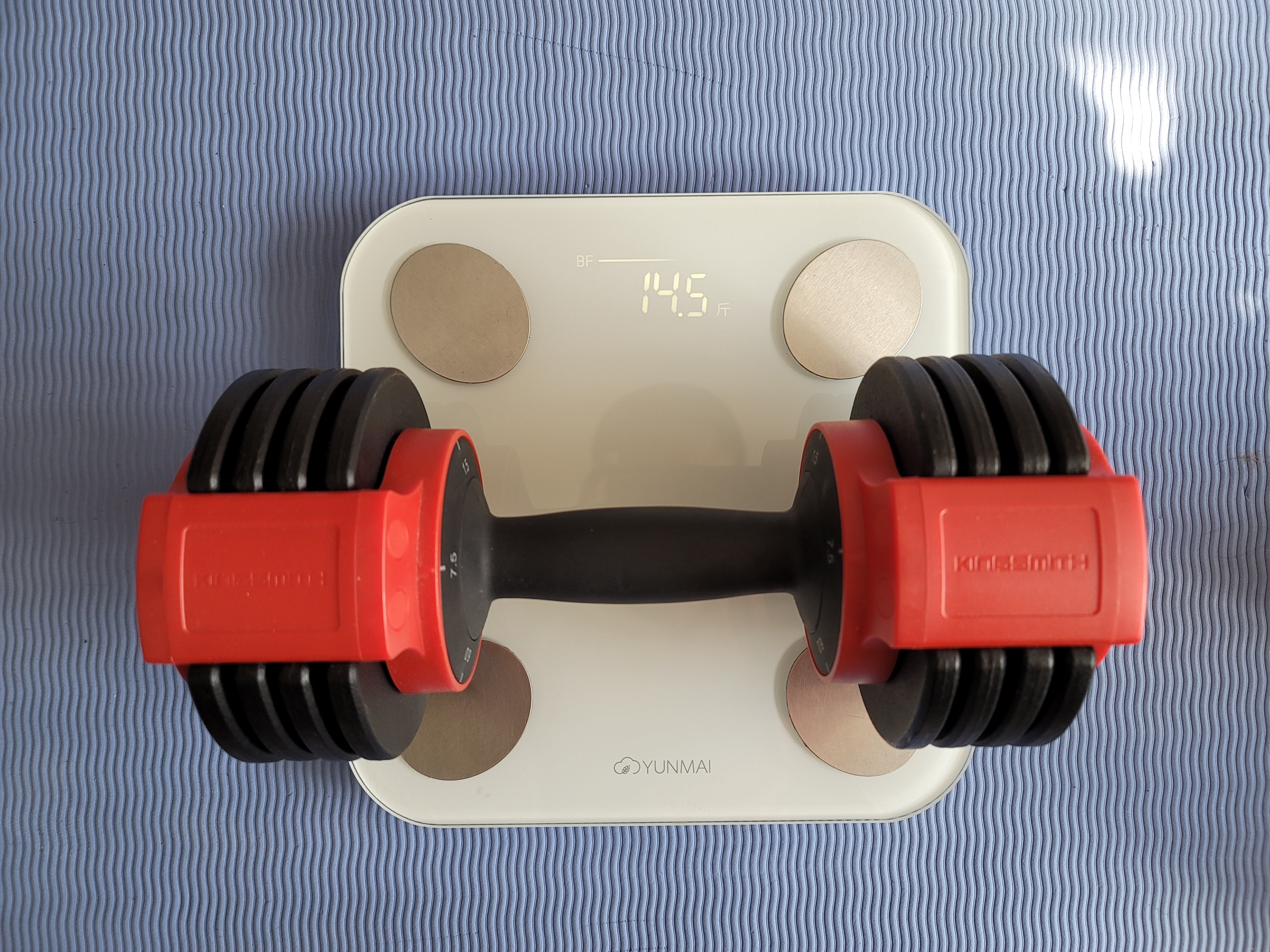 哑铃健身图解大全,哑铃健身器材全套