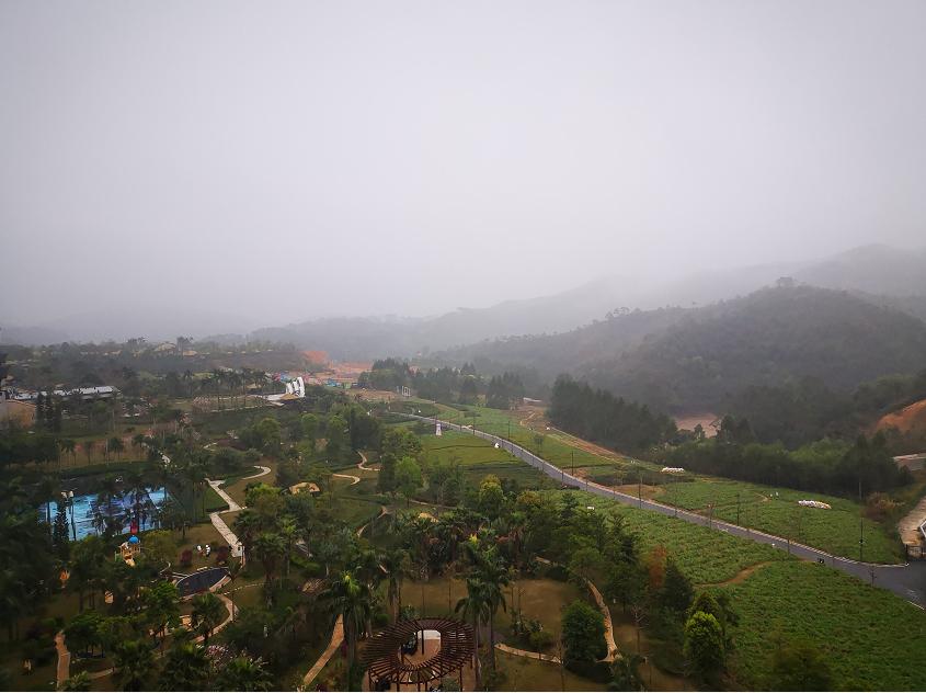 刘柏荣|豪*欲情**把春留住:花困东君酒点唇(原创诗词十首)