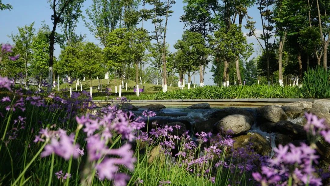 10个城市宝藏,成都还有哪些宝藏公园