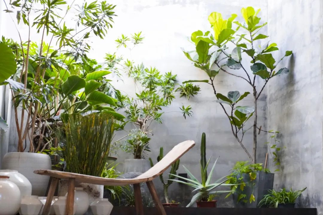 疫情三年,北京夫妻带女儿安守乡下400㎡土坯房