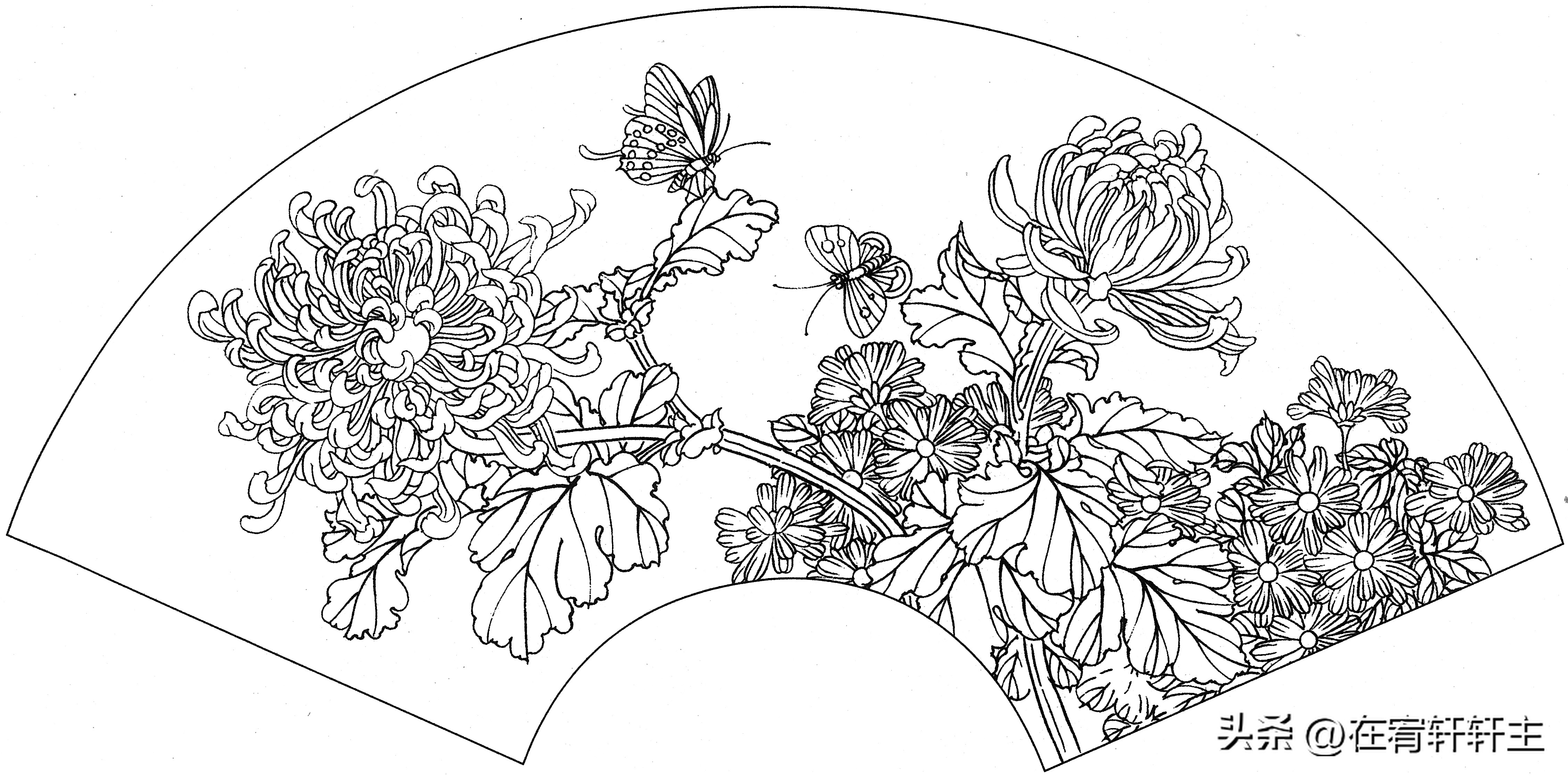 工笔白描祥云图案扇面,工笔扇面葡萄白描图片