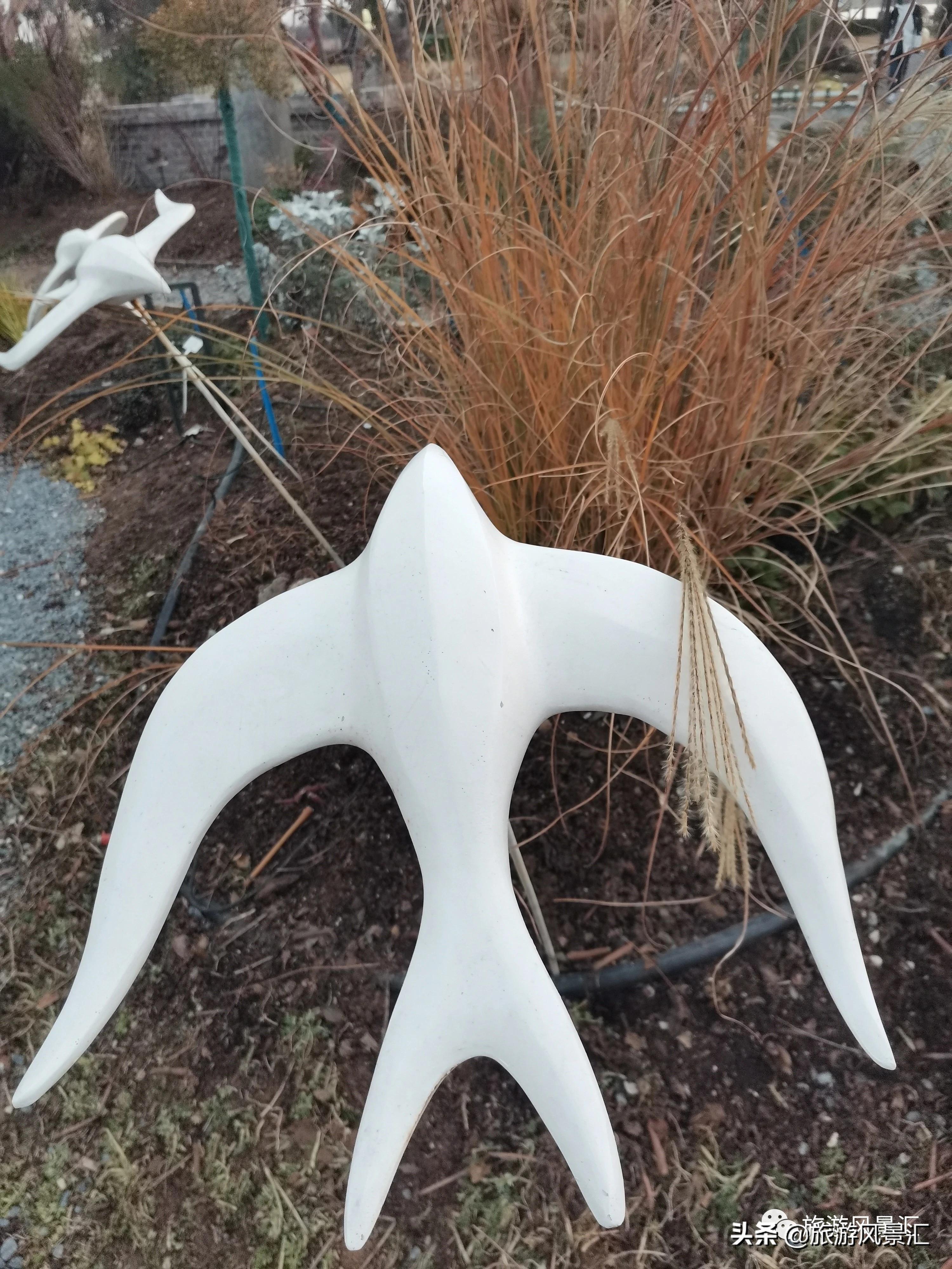 郑州带娃打卡好去处免费公园,郑州北龙湖湿地公园网红打卡圣地