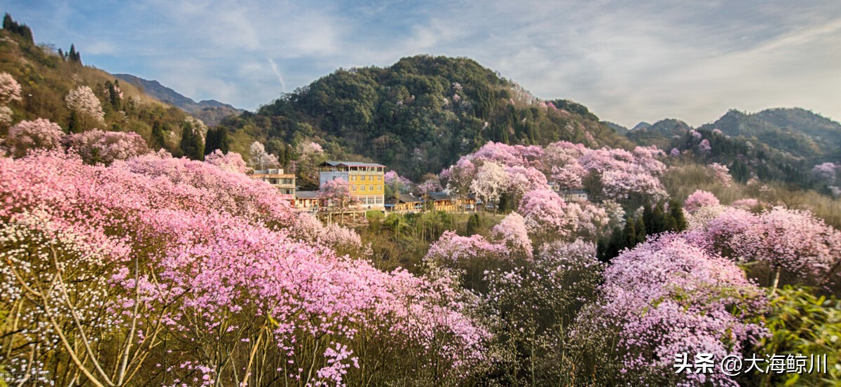 李白的诗为什么有仙气,诗仙李白的明显特色