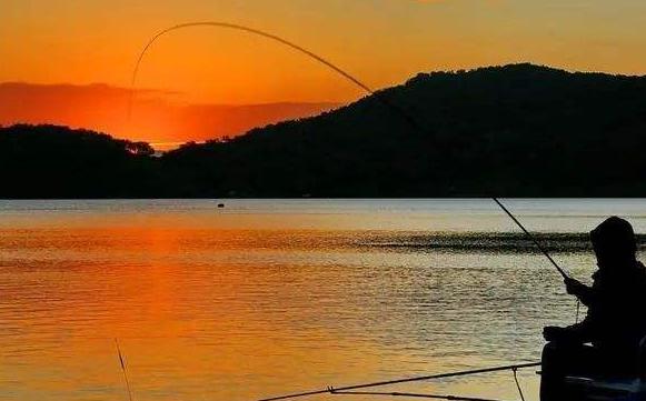 猛攻渔具几个主播,猛攻钓具旗舰店和猛攻钓具