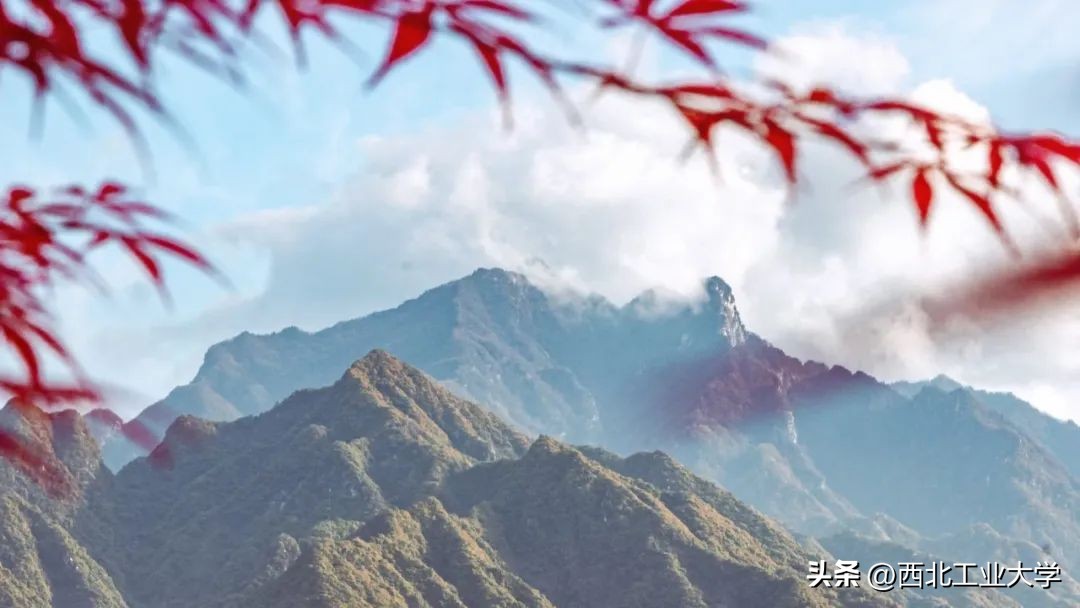 今日雨水!工大四季高清美图，欢迎欣赏使用~