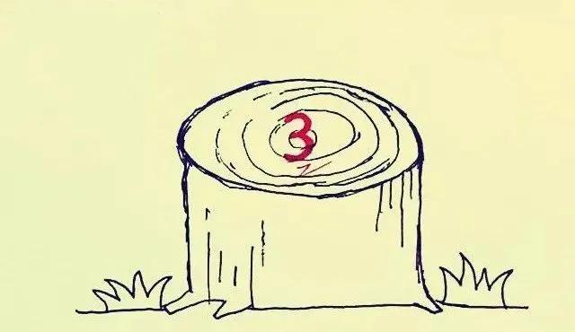 成语不字开头的成语接龙,成语接龙及成语故事