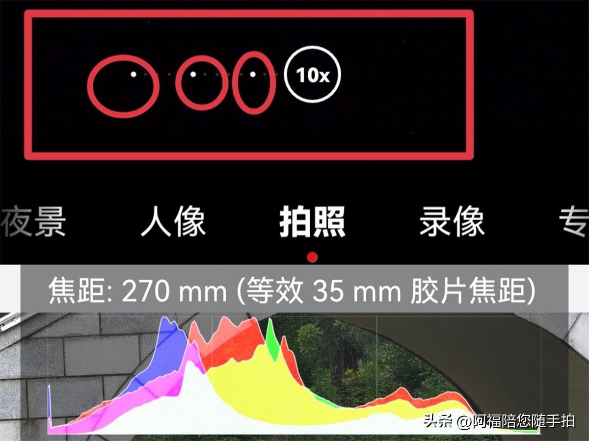 手机摄影：拍摄荷花照片怎么拍好看？试试框式构图