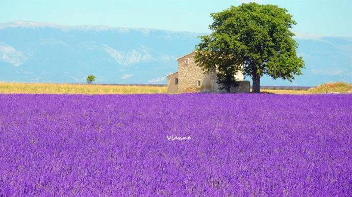 女人投资自己的最佳方式,中年女人投资自己的最好方式