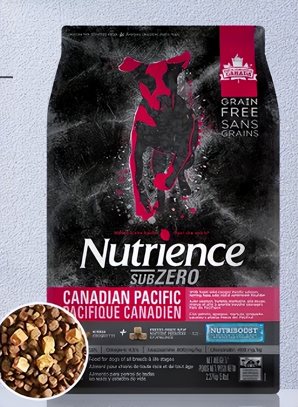 养狗人推荐什么狗粮适合雪纳瑞吃,新手养狗这些毒狗粮千万要避开