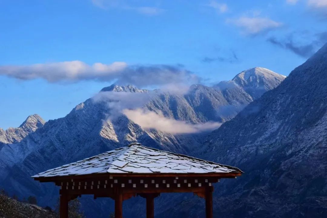 茶马古道滇茶古韵,茶马古道普洱烟茶