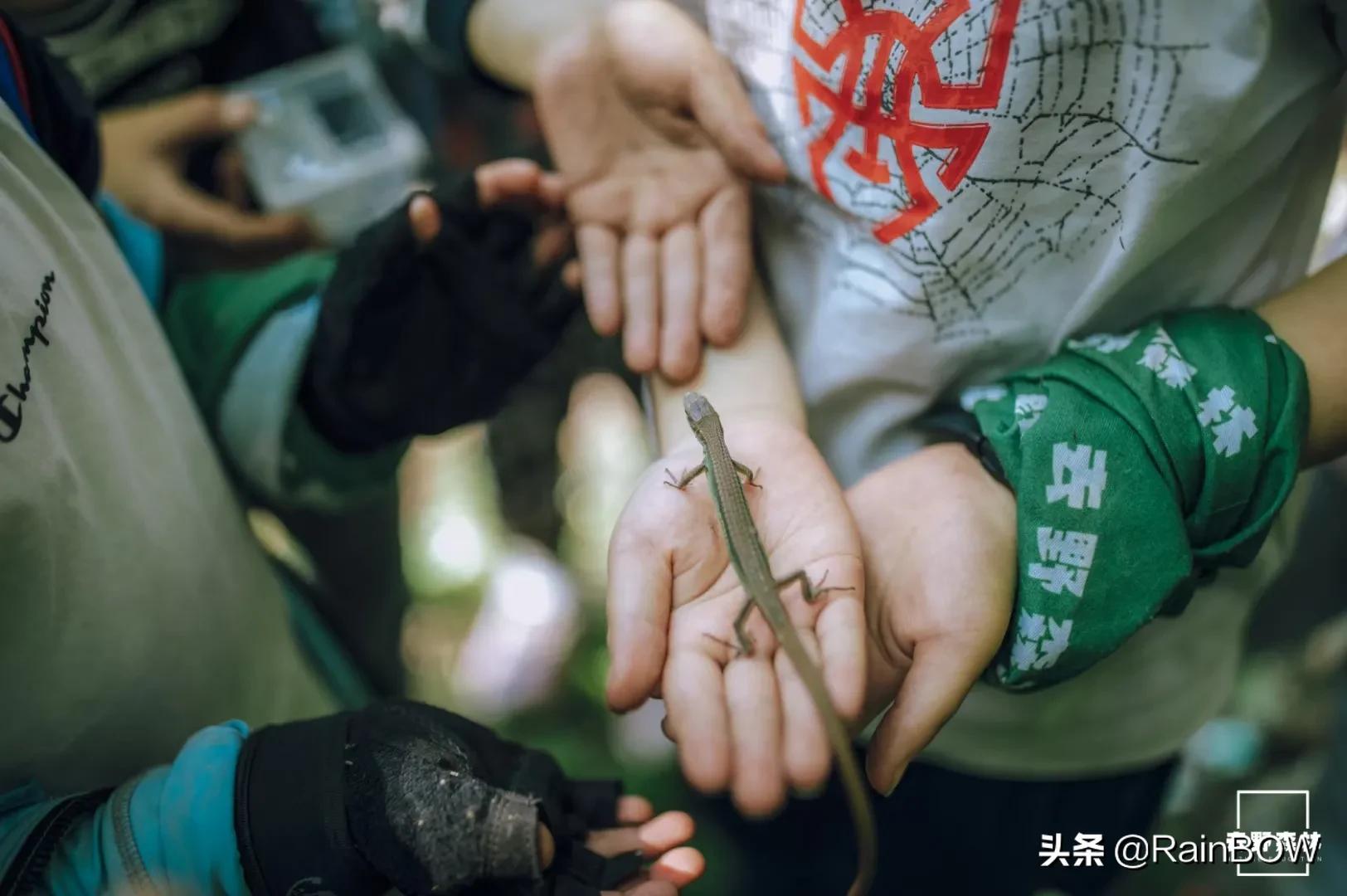 大自然中的小生命,大自然新生命的诞生