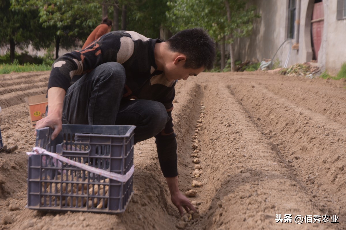 能治虫又能杀螨老牌杀虫剂,强力杀菌除螨用什么药