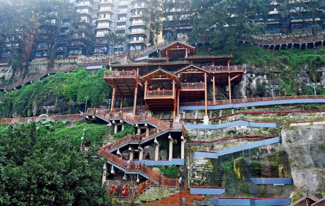 杨保军新一线城市,《城市更新进展》杨保军