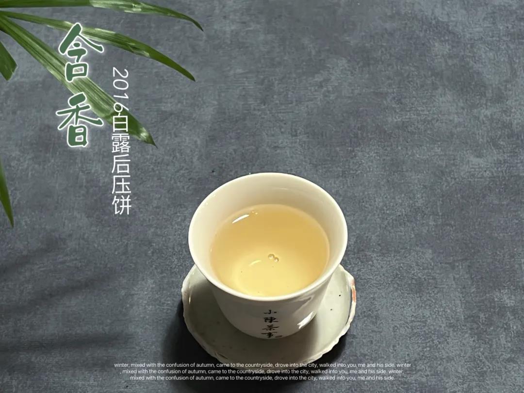白茶老茶收藏价值,收藏茶叶推荐白茶还是红茶呢