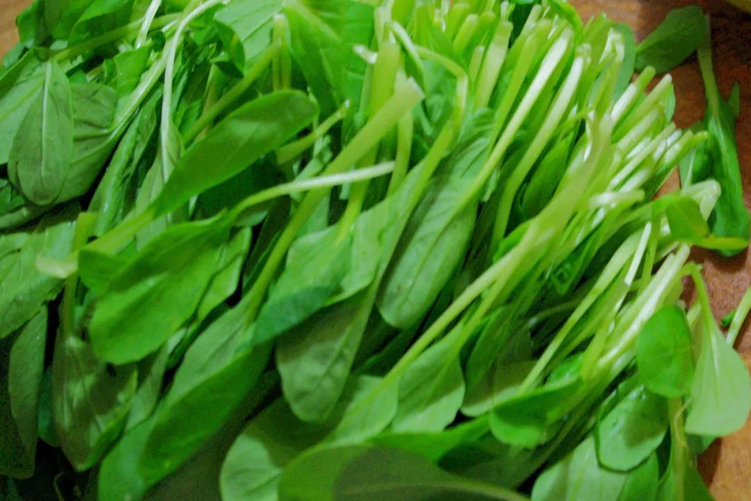 浙江人常吃的蔬菜有哪些,幼儿园常吃的蔬菜有哪些