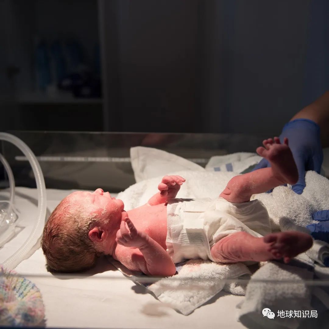 刚刚,人口突破80亿!中国人口即将负增长|地球知识局