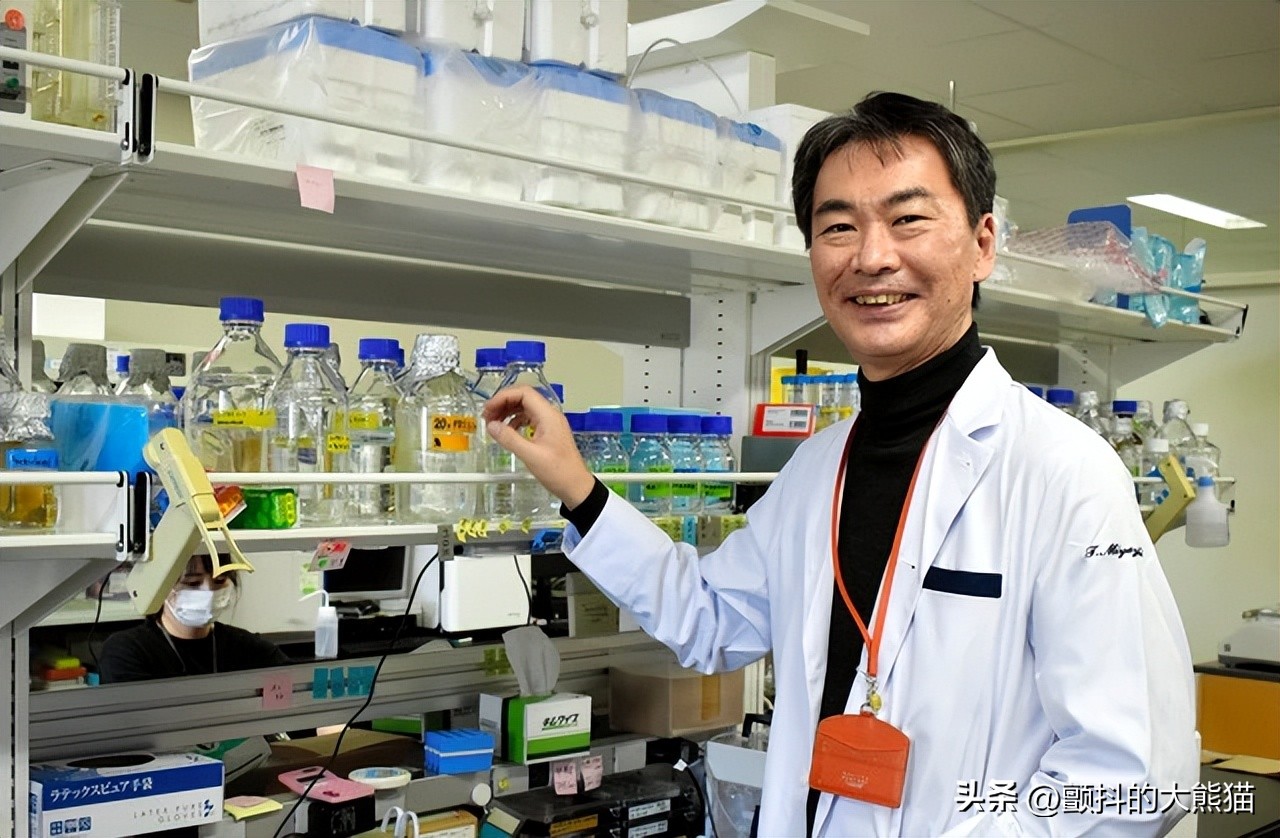 猫的寿命有望突破30岁,让猫咪寿命延长至30余年的疫苗